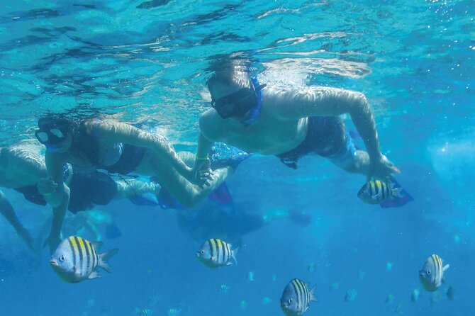Fast & Fun: Cancun Speedboat Tour with Snorkeling - A practical packing and planning guide