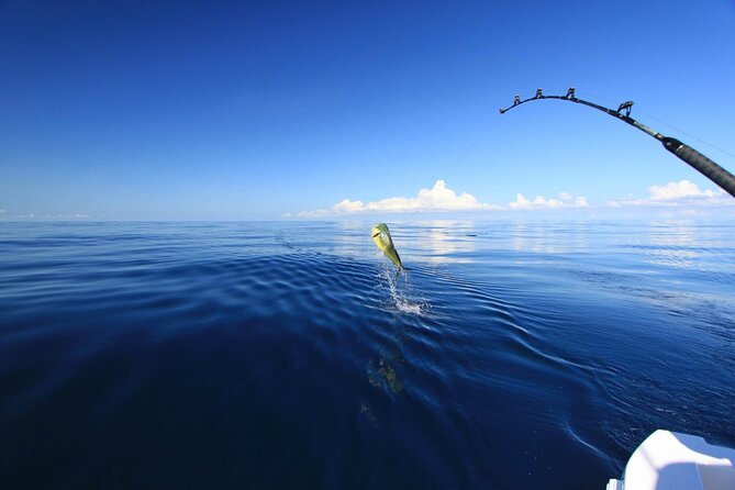 Fishing and Snorkelling by Speedboat Tour - Hurghada - A fast start from your Hurghada hotel