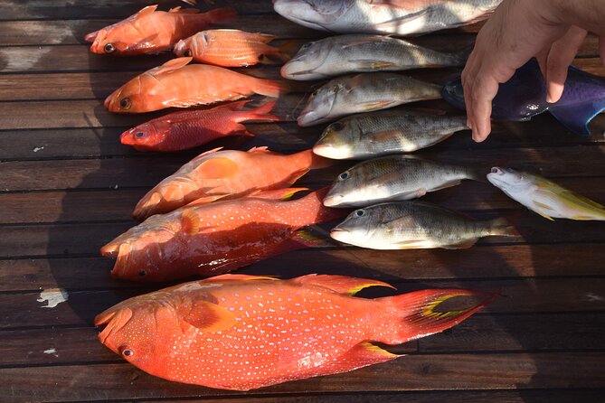 Fishing and Snorkelling by Speedboat Tour - Hurghada - Fishing at two Red Sea spots