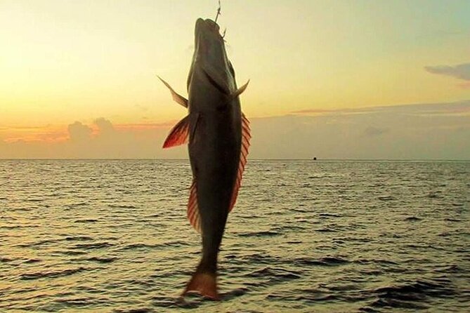 Fishing and Snorkelling by Speedboat Tour - Hurghada - Speedboat travel makes the four hours count