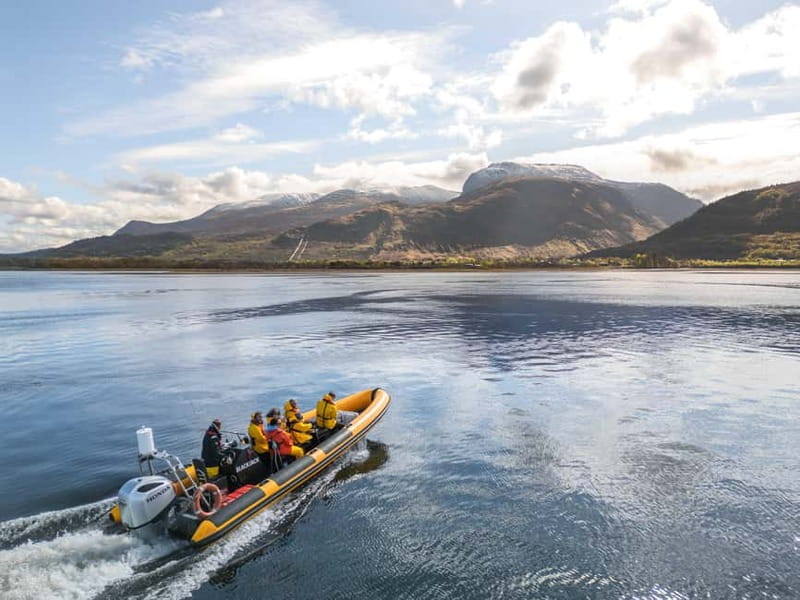 Fort William: 1hr Loch Safari Speedboat Tour - Key points at a glance