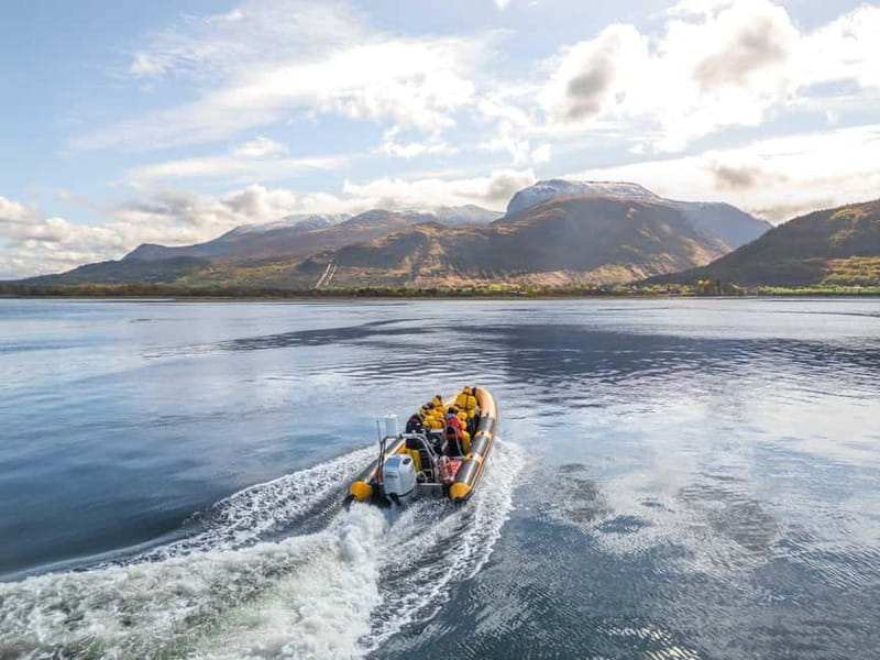 Fort William: 1hr Loch Safari Speedboat Tour - Leaving Fort William for Loch Linnhe