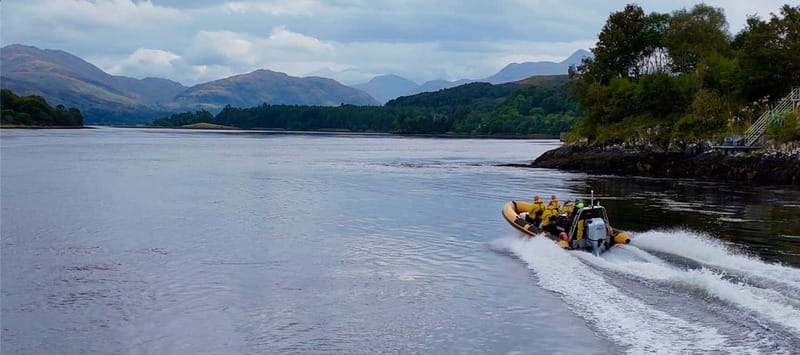 Fort William: 1hr Loch Safari Speedboat Tour - Seal Island and the best wildlife chance