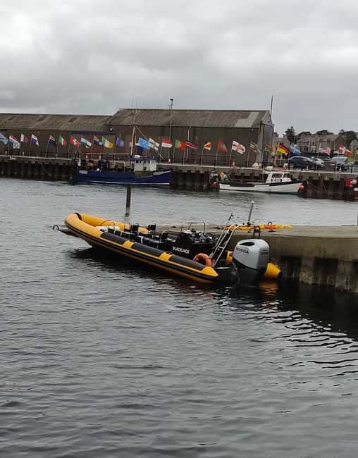 Fort William: 1hr Loch Safari Speedboat Tour - When the RIB opens up