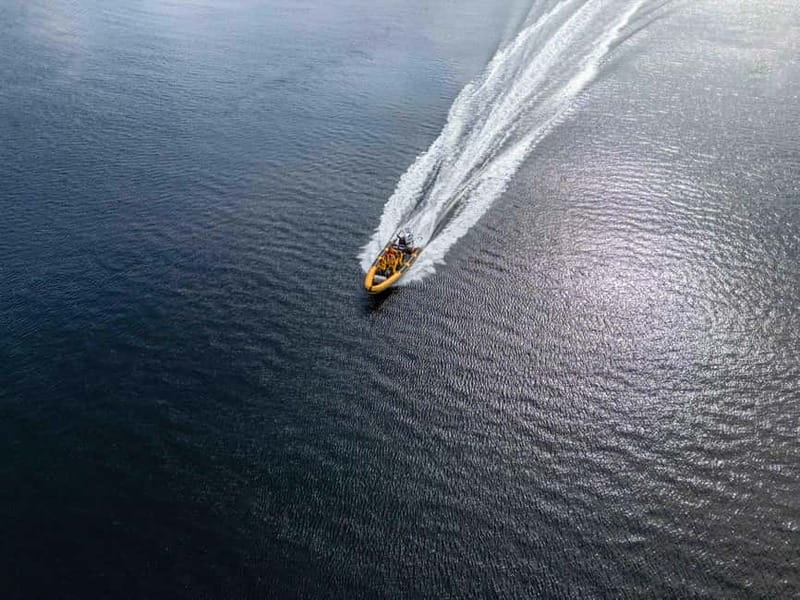 Fort William: 1hr Loch Safari Speedboat Tour - Who should book the Fort William speedboat tour?