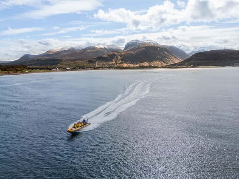 Fort William: 1hr Loch Safari Speedboat Tour - Corpach, Loch Eil, and the Ben Nevis view