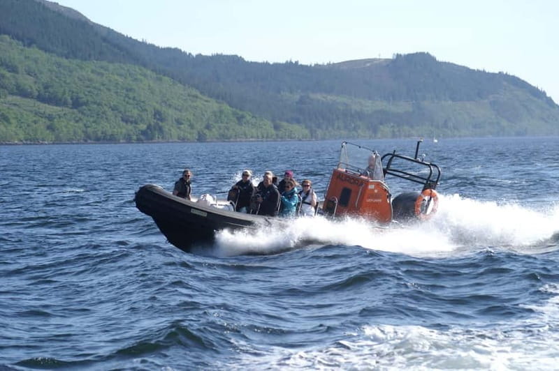 Fort William: Speed Boat Adventure - Wildlife watching with a dose of speed