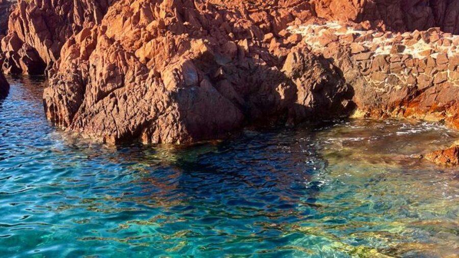 Fréjus: Estérel Calanques Speedboat Tour + Swim Stop - Who will enjoy this boat trip most