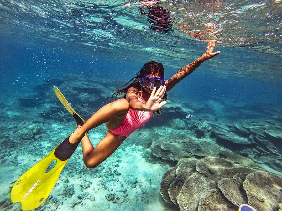 From Blue Bay: Ile aux Cerfs Speedboat Excursion with BBQ - Key Points at a Glance