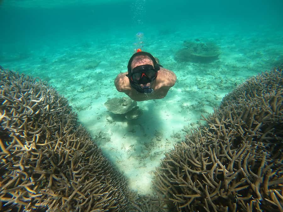 From Blue Bay: Ile aux Cerfs Speedboat Excursion with BBQ - Finding the Boat at Blue Bay Public Beach