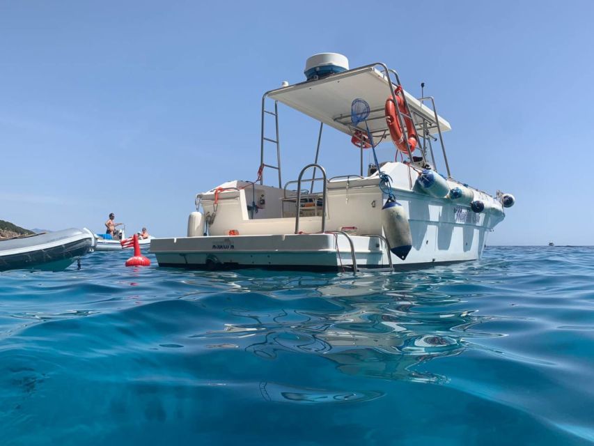 From Cala Gonone: Gulf of Orosei Speedboat Trip and Aperitif - Why the Gulf of Orosei works so well by boat