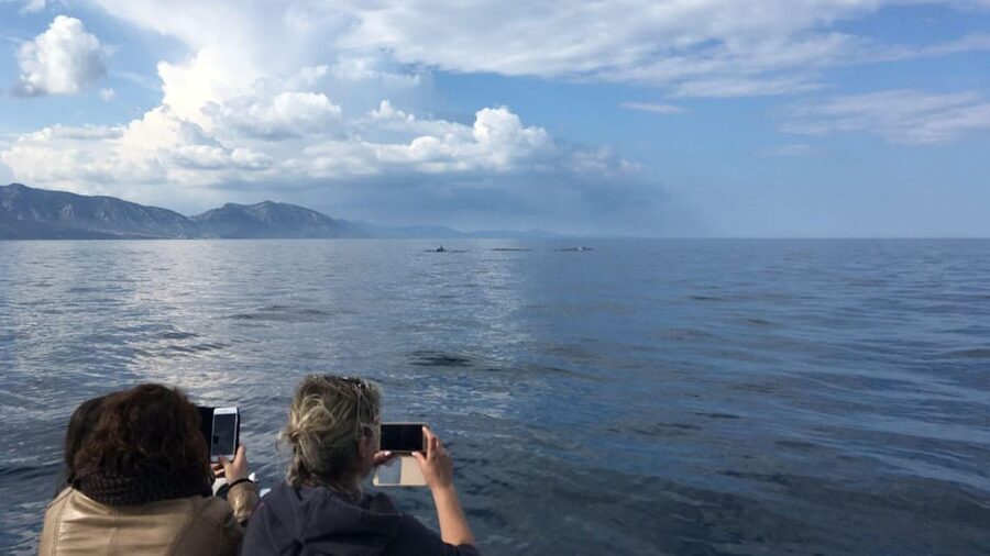 From Cala Gonone: naturalistic excursion on a RIB - Paolo’s nature-first guiding style