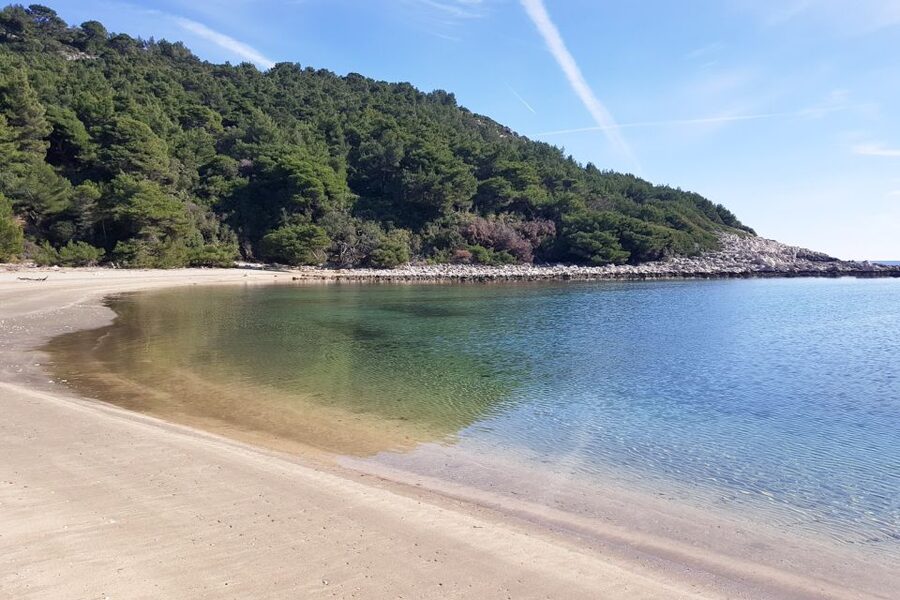From Dubrovnik: Pvt Speedboat Cruise to Mljet&Sipanska Luka - Who should choose this speedboat day?