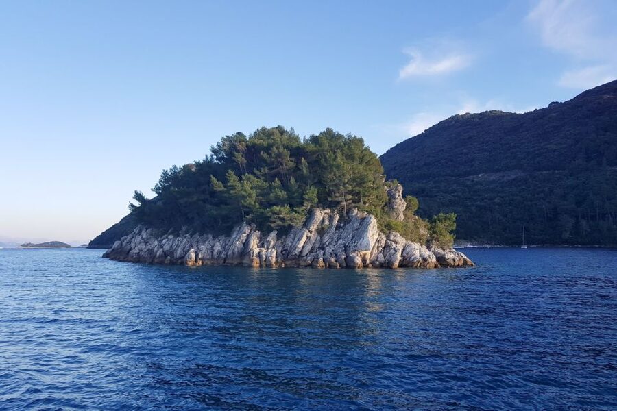 From Dubrovnik: Pvt Speedboat Cruise to Mljet&Sipanska Luka - Saplunara Beach and Limuni’s shallow water