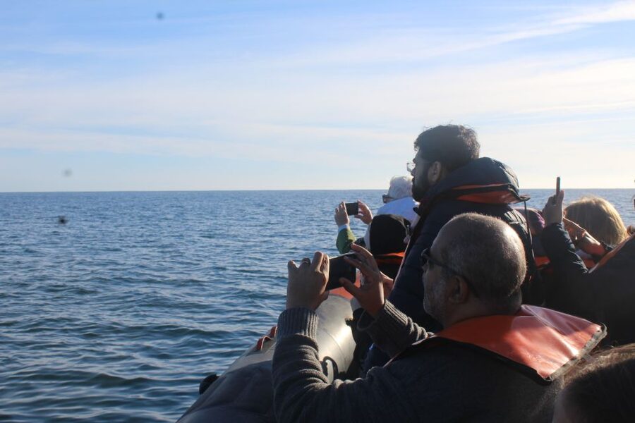 From Faro: Wildlife and Dolphin-Watching Speedboat Tour - Reaching Cape Santa Maria and the Atlantic