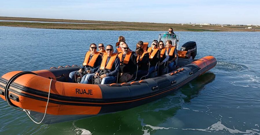 From Faro: Wildlife and Dolphin-Watching Speedboat Tour - Is $58 a fair price?