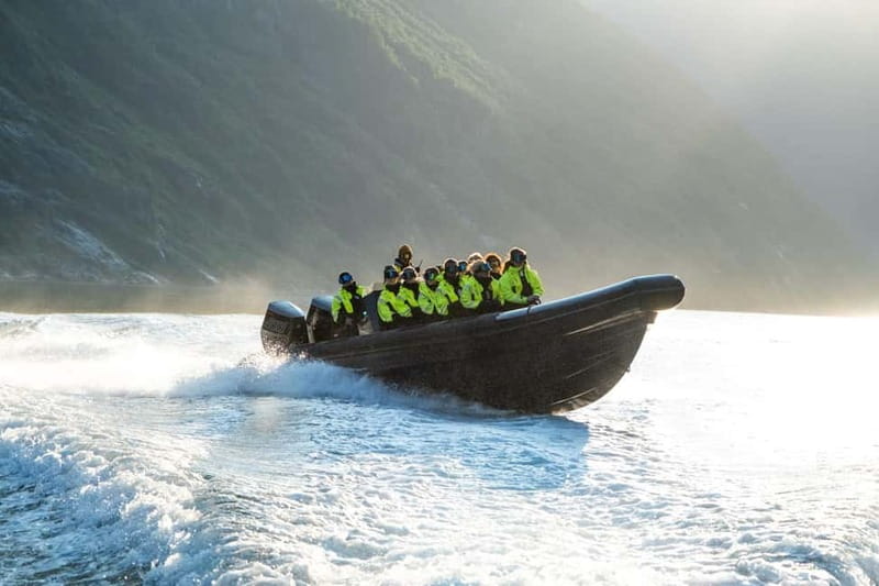From Hellesylt: Experience Fjordsafari Geirangerfjord on RIB - Key points to know before you book