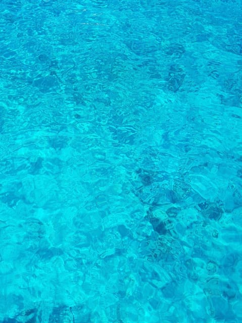 From Hvar: Blue cave group speedboat tour full day - Should you book the Hvar Blue Cave tour?