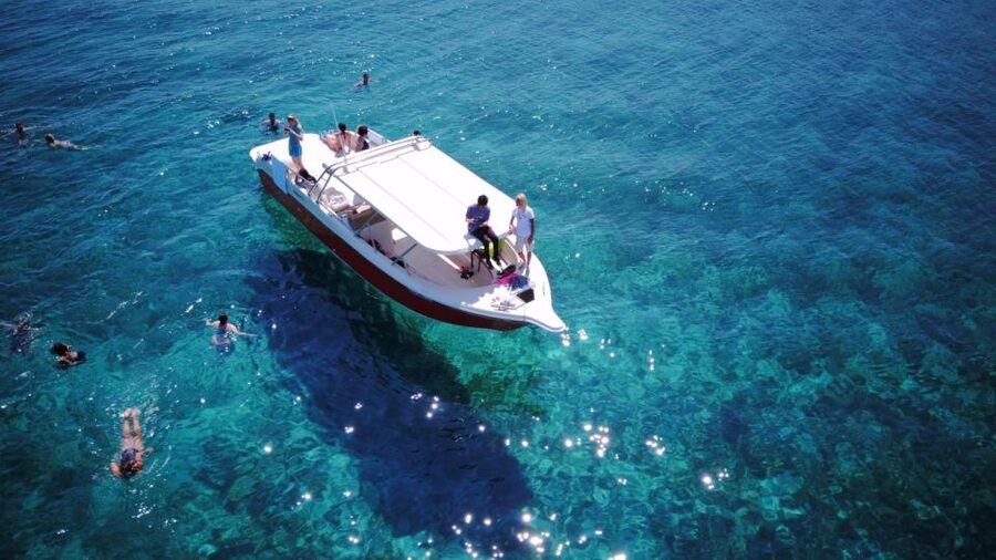 From Hvar: Vis Island and Blue Cave Speedboat Tour - Hvar Harbor is the easy starting point