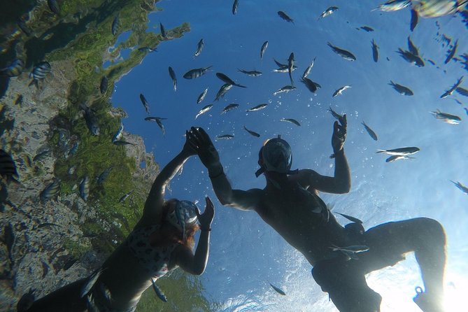 From Khao Lak : Full-Day Private Phi Phi Islands Speedboat Charter - Monkey Beach, a quick wildlife stop