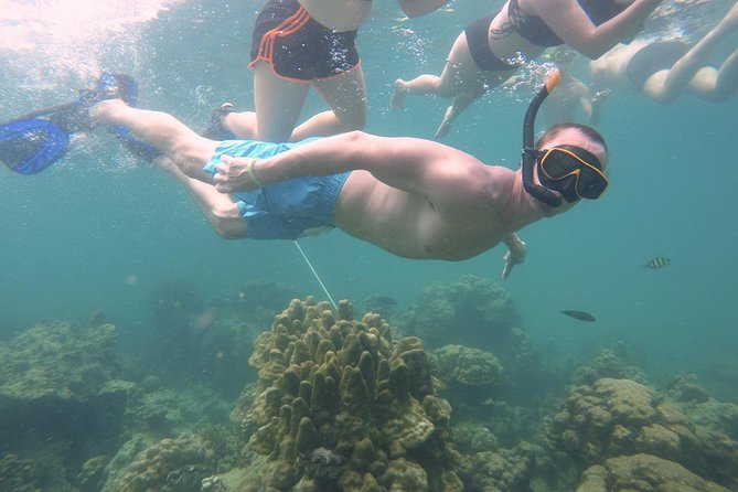 From Khao Lak : Full-Day Private Phi Phi Islands Speedboat Charter - Lunch costs extra, so plan for it