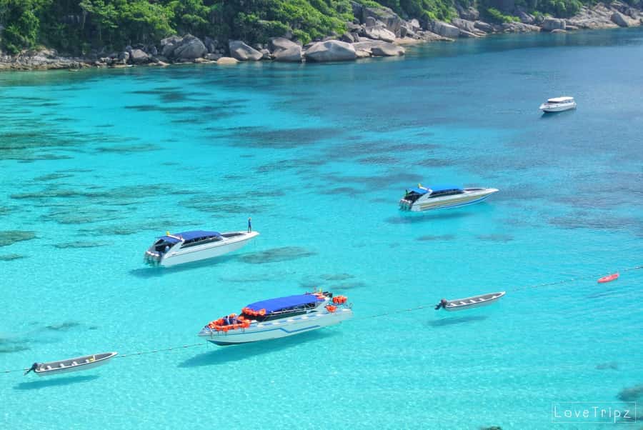 From Khao Lak & Phuket: Trip to Similan Islands by Speedboat - Key points before you book