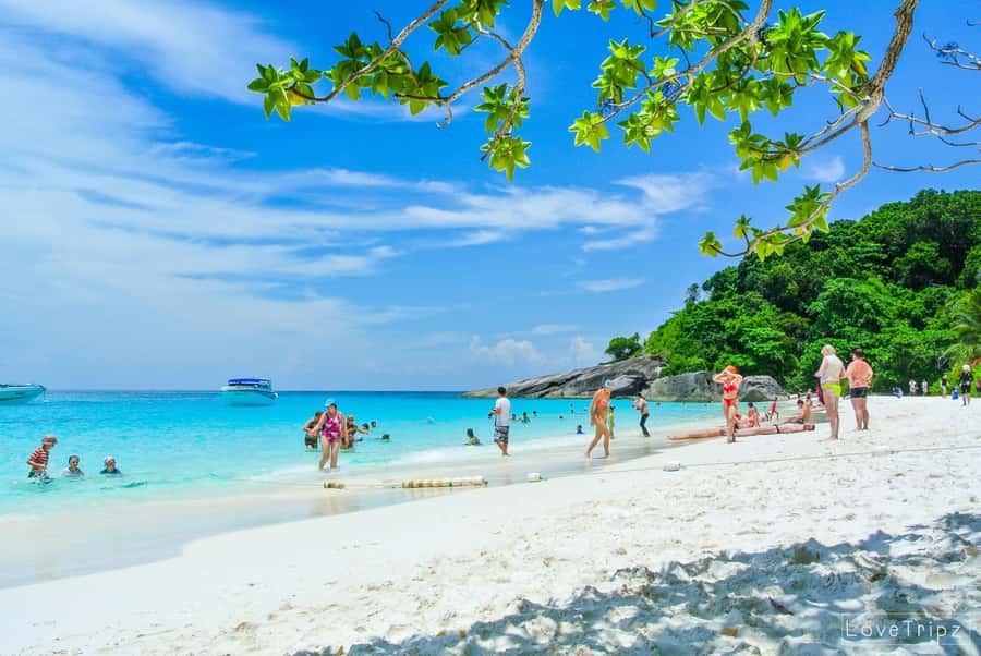 From Khao Lak & Phuket: Trip to Similan Islands by Speedboat - Ko Bangu for clear water and reef fish