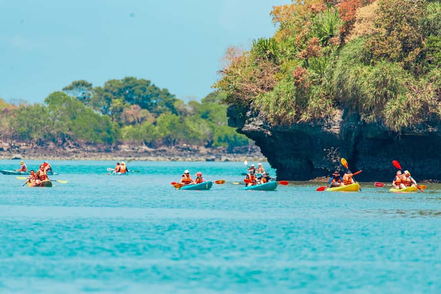 From Ko Pha Ngan: Angthong Marine Park Speedboat Adventure - Should you book the Angthong speedboat tour?