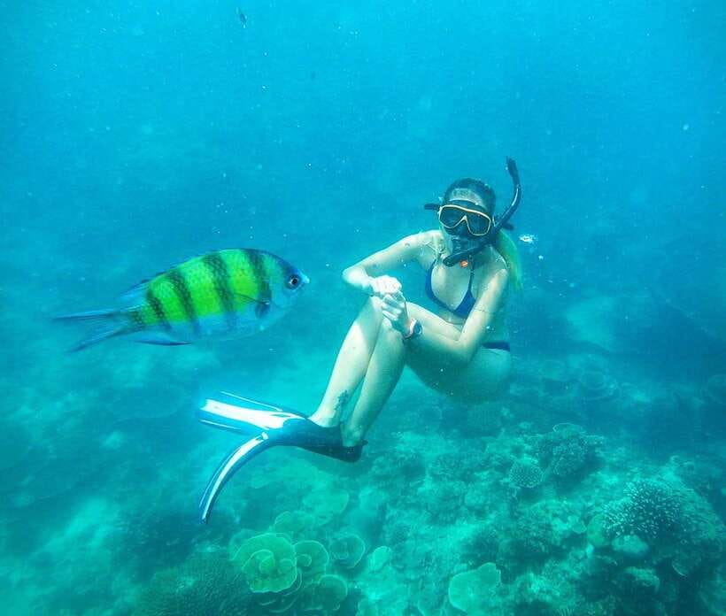 From Koh Lanta: Koh Haa & Koh Rok Snorkel Tour by Speedboat - My verdict: book it for reefs, not just beaches
