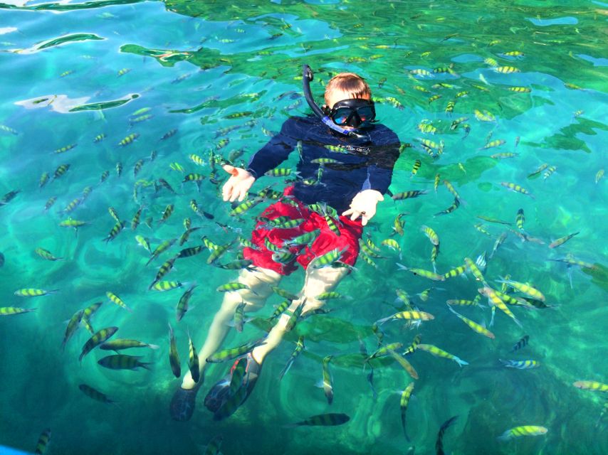 From Krabi: 4 Islands Snorkeling Tour by Speed Boat - Who should book this Krabi boat trip?