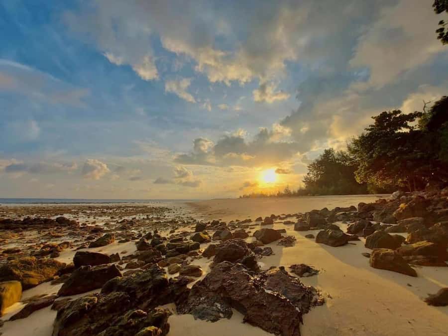 From Krabi: Phi Phi Early Bird & 4 Islands by Speedboat - Key points at a glance