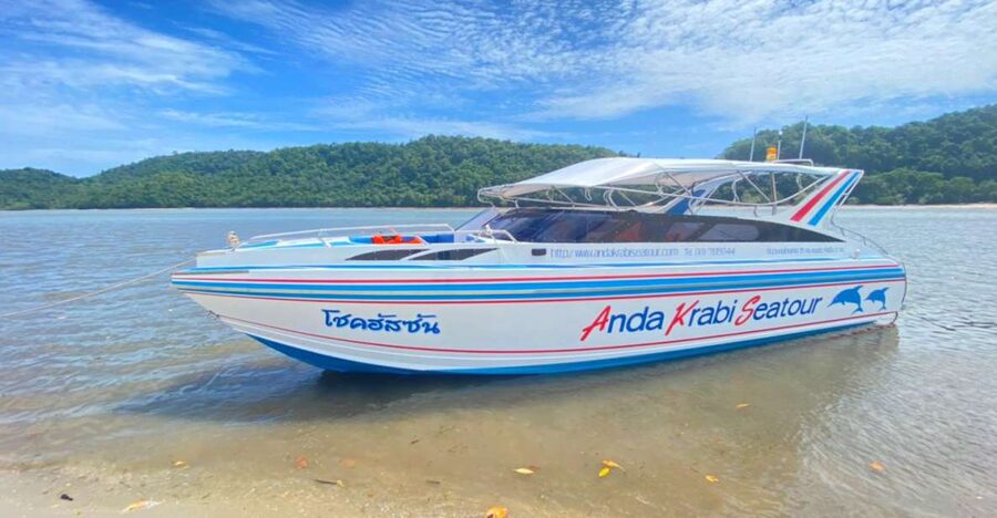 From Krabi: Phi Phi Island Full-Day Private Speed Boat Tour - Key points at a glance