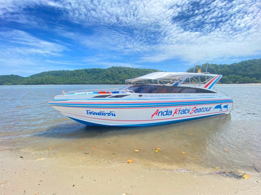 From Krabi: Phi Phi Island Full-Day Private Speed Boat Tour - Maya Bay, famous and often crowded