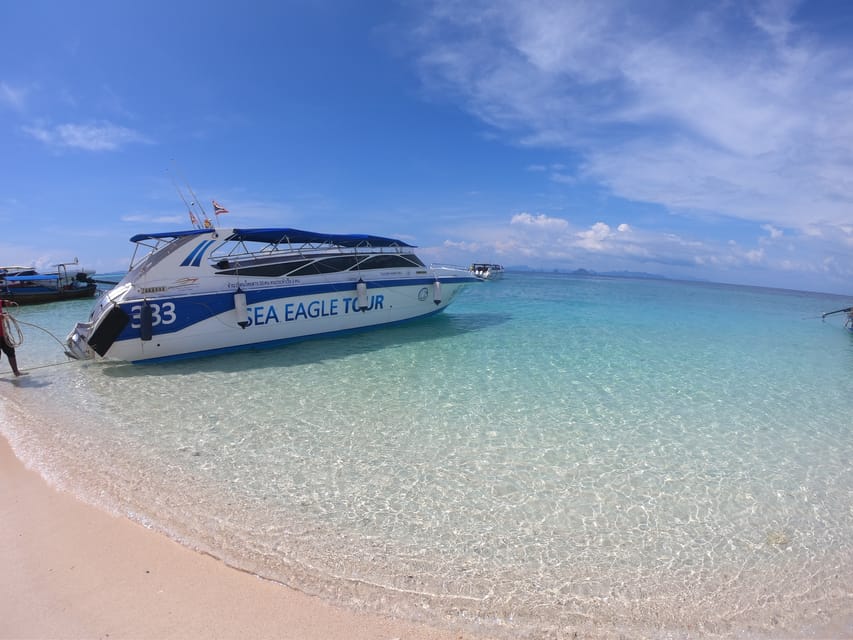 From Krabi: Phi Phi Islands Speedboat Day Tour - Key points to know before you book