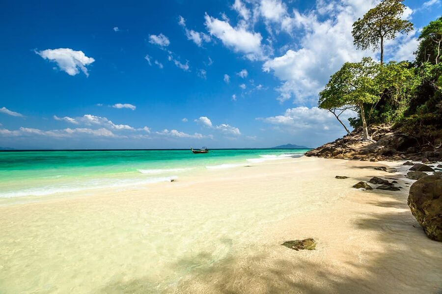 From Krabi: Phi Phi Islands Speedboat Day Tour - Why this Phi Phi tour works from Krabi