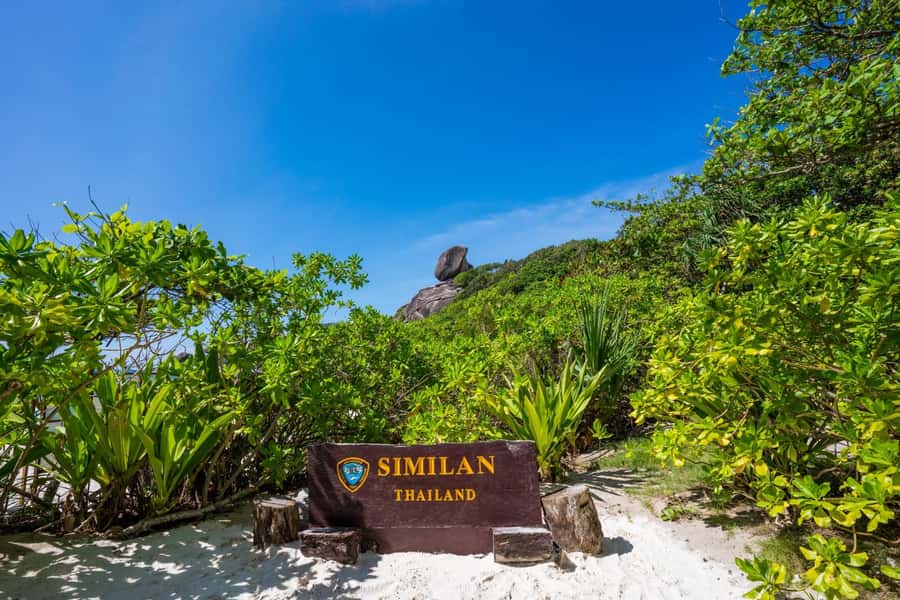 From Krabi: Similan Islands Day Trip by Speedboat - Key points to know before booking
