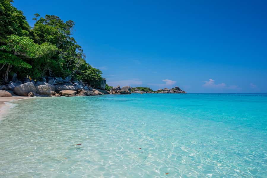 From Krabi: Similan Islands Day Trip by Speedboat - Timing, crowds, and the real value of the package