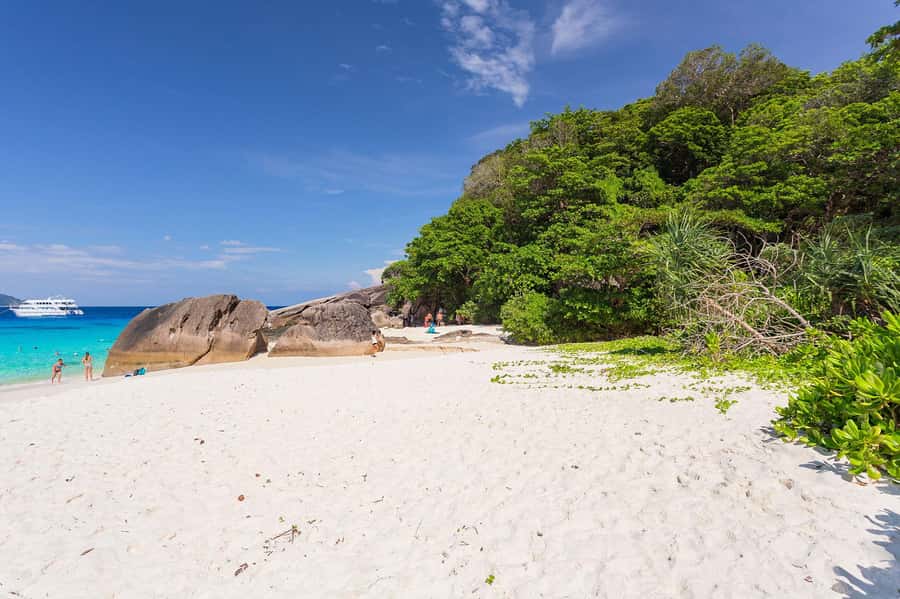 From Krabi: Similan Islands Snorkeling Trip by Speedboat - Snorkeling at Payu and Ba-Ngu islands
