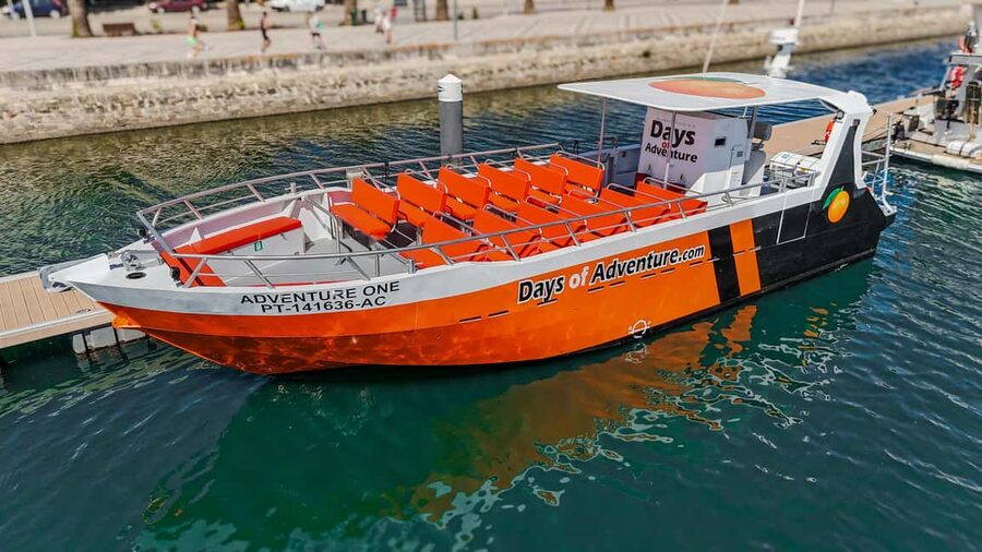 FROM LAGOS: BENAGIL AND DOLPHIN WATCHING - JETBOAT - Key points to know before you go