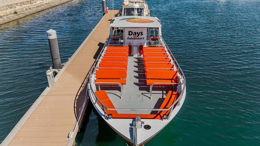 FROM LAGOS: BENAGIL AND DOLPHIN WATCHING - JETBOAT - What the speedboat ride feels like