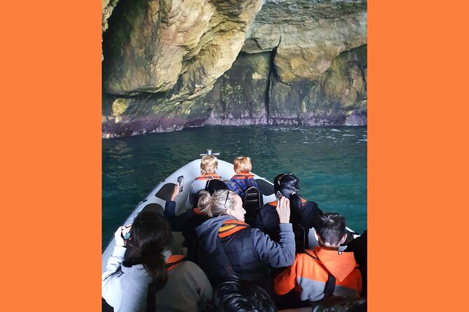From Lagos: Benagil Caves Tour by Speed Boat with Guide - What the $48.37 price buys you