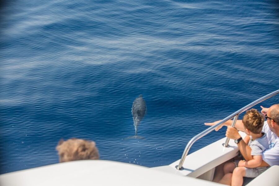 From Lefkimmi: Paxos, Antipaxos & Blue Caves Speedboat Tour - Why this Corfu boat trip is worth considering