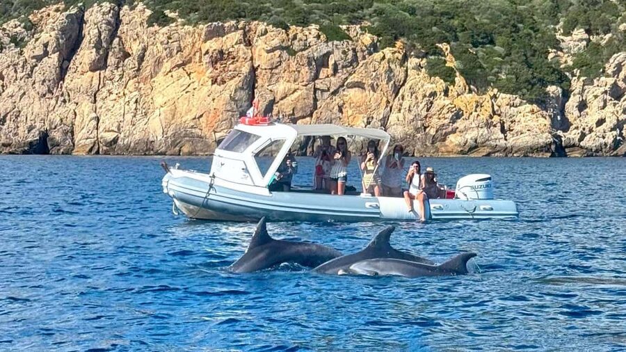 From Olbia: RIB Tour to Capo Figari with Dolphin Sighting - Leaving Olbia Marina at 9:30