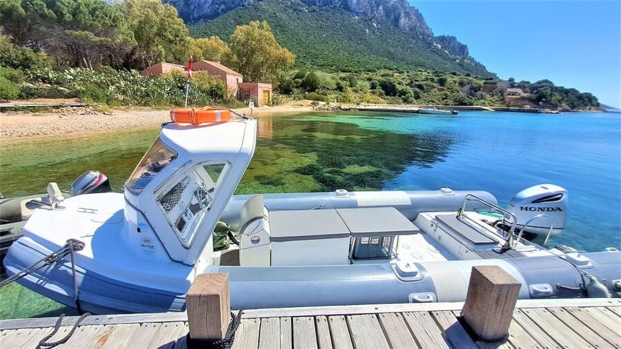 From Olbia: RIB Tour to Capo Figari with Dolphin Sighting - Cala Moresca, snacks, and a second chance to swim