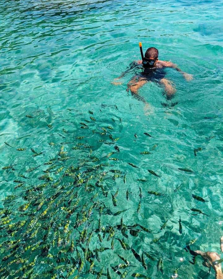 From Phi Phi Don:Sunset and Plankton Snorkeling by Speedboat - Swimming inside Pileh Lagoon