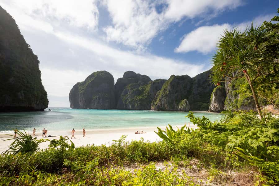 From Phi Phi : Full Day tour by Speed Boat with Lunch - Shark Point brings the best underwater encounter
