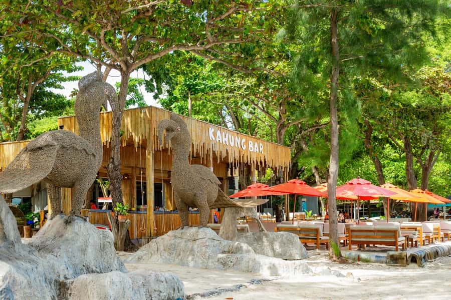 From Phuket: Coral Island Kahung Beach Speedboat Trip - Who will enjoy this Coral Island trip?