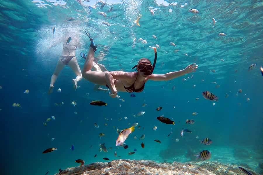 From Phuket: Phi Phi and Maya Bay Snorkeling by Speedboat - Key Points Before You Book