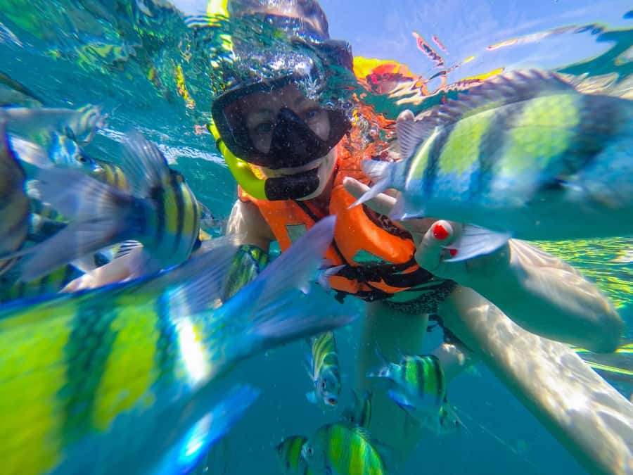 From Phuket: Phi Phi and Maya Bay Snorkeling by Speedboat - Why This Day Trip Works From Phuket