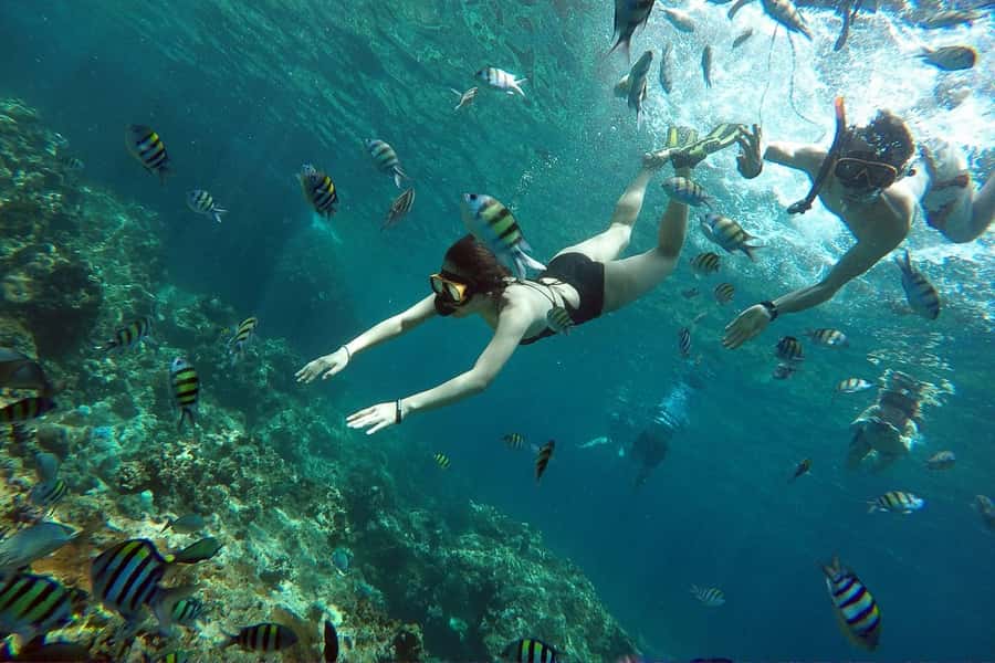 From Phuket: Phi Phi Island Private Full-Day Speedboat Trip - Viking Cave and the cliffs of Phi Phi Lae